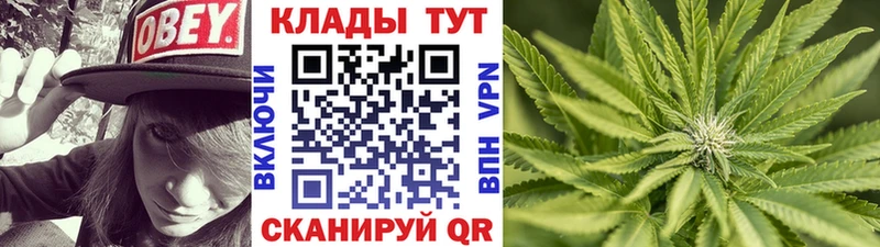 Где купить Морозовск ГАШ  hydra как зайти  АМФ  МЕФ  Cocaine 