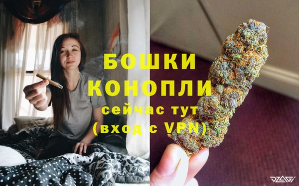 сатива Корсаков
