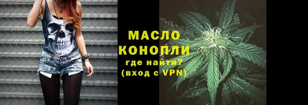 гидра Краснослободск