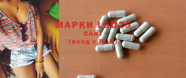 сатива Корсаков