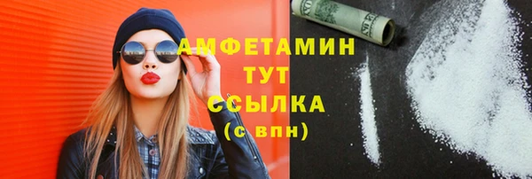 сатива Корсаков