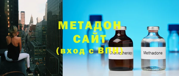 сатива Корсаков