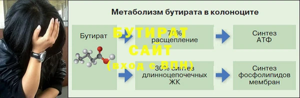 сатива Корсаков