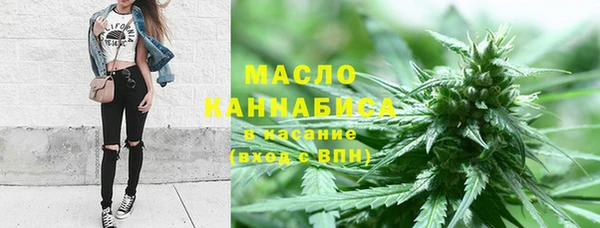 сатива Корсаков