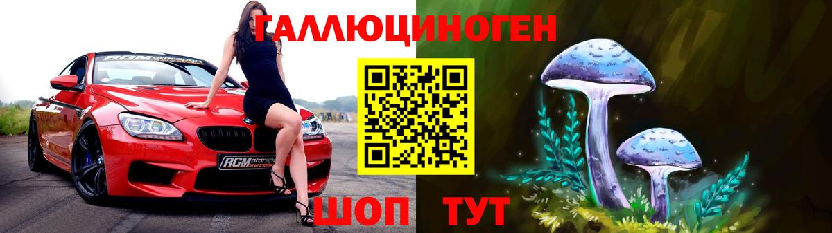Морозовск  Псилоцибиновые грибы Psilocybine cubensis  Вход с VPN 